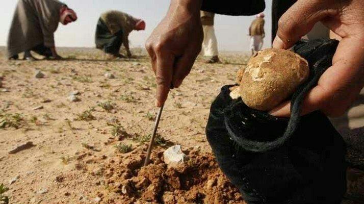 توتُّر يسود ريف دير الزور الغربي مع استمرار اختطاف أبناء إحدى البلدات
